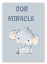Our Miracle 2